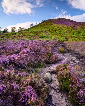 Ros Castle footpath in portrait, also known as Ros Hill due to an ancient prehistoric Hillfort on its summit, located near Chillingham in Northumberland and has great views all around itの写真素材