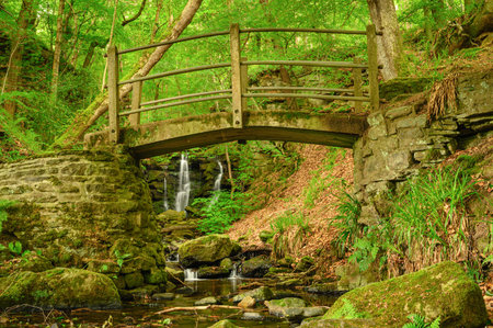 Footbridge and Wharnley Burn Falls, a beautiful waterfall at Allensford near Consett, County Durham,...