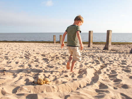 small boy collecting stones on a sandy beachの写真素材