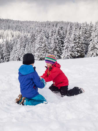 small boy and girl  playing in the snow with wooded winter  mountain landscape behindの写真素材
