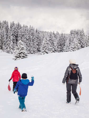 Woman, small boy and small girl walking in a snowy wooded winter  landscapeの写真素材