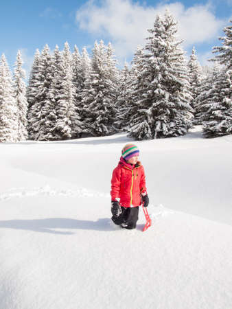 small girl walking in deep snow with sledge in hand and wooded winter  mountain landscape behindの写真素材