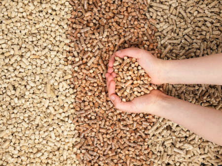 Childs hands holding wood pellets with three colours of woodpellet in the の写真素材