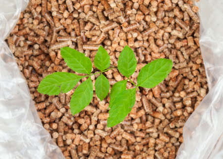 A tree  sapling in an open bag of wood pellets with a stack of bagged wood pellets behind. Green fuel concept.の写真素材