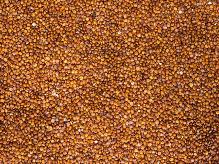 close up  of red quinoa backgroundの写真素材