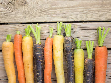 an arangment of heritage carrot varieties against a rustic knotted wooden backgroundの写真素材