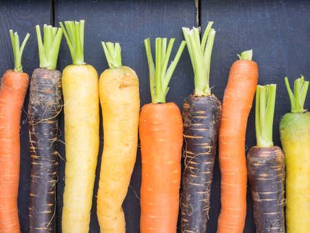 an arangment of heritage carrot varieties against a rustic dark grey wooden background in closeupの写真素材