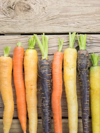 an arangment of heritage carrot varieties against a rustic knotted wooden backgroundの写真素材