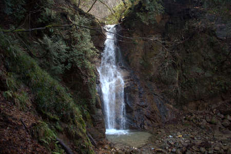 Waterfall in the forestの写真素材
