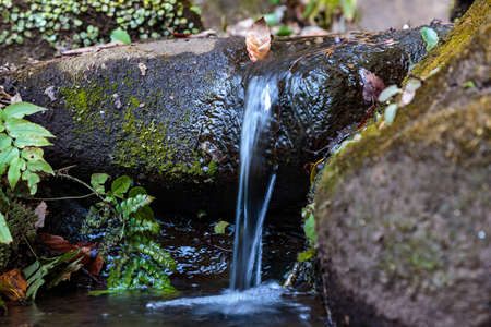 A small stream flows over rocks in a large public forest park in Zama, Japanの写真素材