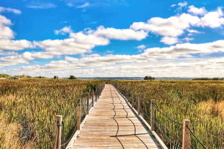 An empty boardwalk passing through the Horicon Marsh in Southern Wisconsin on a summer day. The...