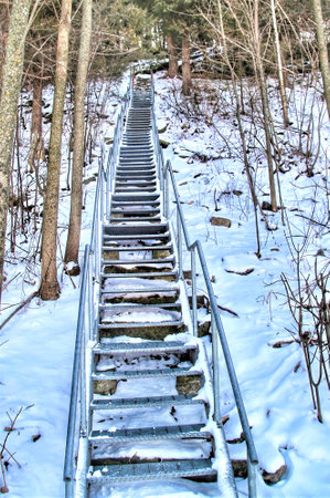 On a winter day, a long steel staircase climbs a snowy, tree-covered hillside.の写真素材