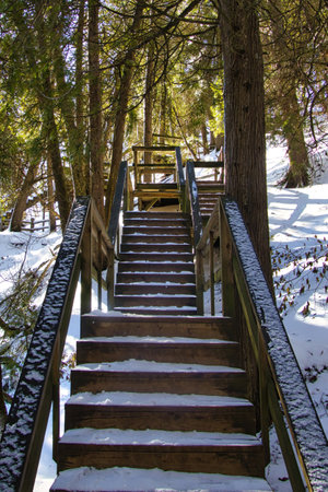 <p>Wooden stairs in the forest in the winter. Winter landscape .at Lion's Den Gorge, near Grafton, WI.</p>の写真素材