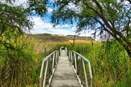 Under a partly cloudy blue sky on a day in late April, a hiking trail passes over a bridge in a desert oasis at Big Bend National Park in Brewster County, TX.の写真素材