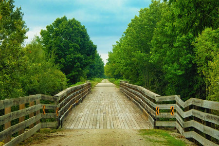 On the Devil's River State Recreational Trail, a wooden bridge in a lush green forest near Francis Creek, Wisconsin. Summer landscape.の写真素材
