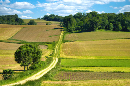 Bright Summer Wisconsin landscape of multi-colored fields and forests bathed in sunlight.