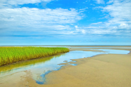 Sunny Summer day landscape of a tide pool and green grass at the Brewster Flats at low tide on Cape...