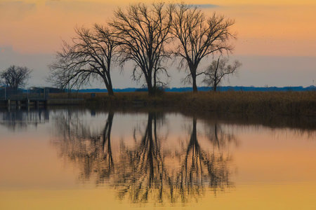 Beautiful late-Autumn landscape captured at Horicon Marsh in Dodge County, Wisconsin, as the sun...
