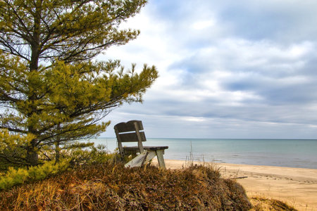 Cloudy Winter landscape of an empty bench on a sand dune facing the Lake Michigan shoreline at Point Beach State Forest near Two Rivers, Wisconsin.の写真素材