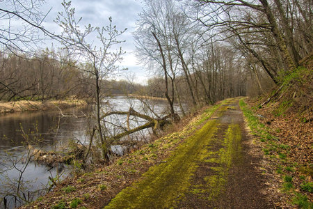 Beautiful view of the Chippewa River and Trail passing through a forest of bare trees on a cloudy Spring day near Caryville, Wisconsin.の写真素材
