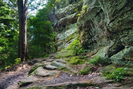 Summer day landscape of stone steps along a trail beside rock cliffs and lush green trees at Hocking Hills State Park in Hocking County, Ohio.の写真素材
