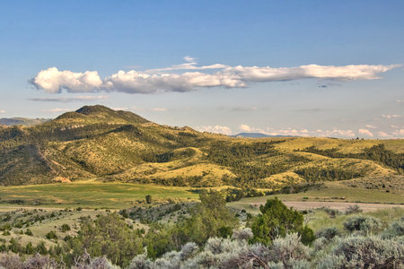Landscape of rolling hills beyond a field of green brush and grass on a sunny Summer day near Townsend in Broadwater County, Montana.の写真素材