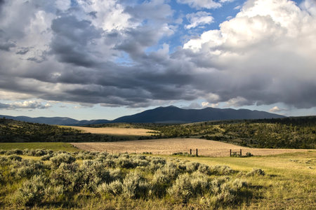 Landscape of rolling hills beyond a shadowed field of green brush and grass on a Summer evening near Townsend, Montana.の写真素材