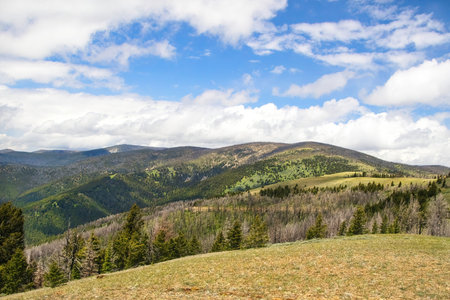 Mountaintop view of a green forest on a partly cloudy Summer day in the Big Belt Mountains near White Sulphur Springs, Montana.の写真素材