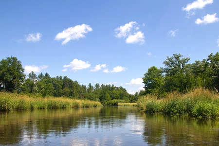 Sunny Summer day view of a placid Dells Creek flowing through a lush green forest next to Mirror Lake State Park near Baraboo, Wisconsin.の写真素材
