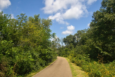 Sunny Summer day view of the Root River State Trail passing through a lush forested valley near Lanesboro, Minnesota.の写真素材