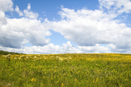 Sunny Summer landscape of a colorful field beneath a partly cloudy blue sky along the Capital City Trail near Madison, Wisconsin.の写真素材