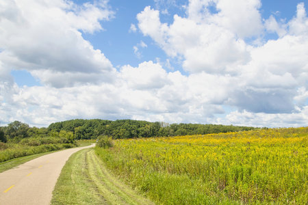 Sunny Summer landscape of the Capital City Trail passing beside a colorful field with a forest on the horizon near Madison, Wisconsin.の写真素材