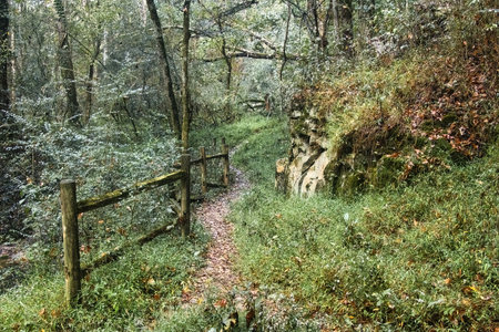 Tranquil Autumn landscape of a nature trail passing between a wooden fence and rock wall in a lush forest along the Natchez Trace Parkway in Mississippi.の写真素材