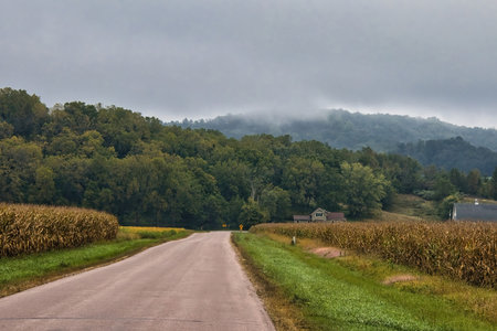 Early Autumn landscape of a road passing through rolling hills in Wisconsinâs Driftless Area near Trempealeau, Wisconsin.の写真素材