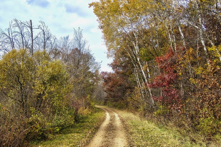 Late Autumn view of The 400 State Trail passing through a forest displaying late Autumn colors near Reedsburg, Wisconsin.の写真素材