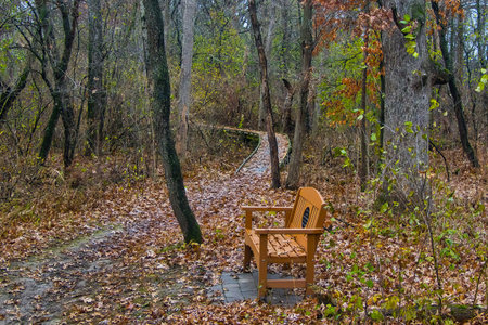 Milton, Wisconsin, USA â November 18, 2025: An empty bench sits alongside the Storrs Lake Segment of the Ice Age Trail as viewed on a late-Autumn day near Milton, Wisconsin.のeditorial素材