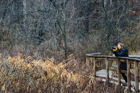 Milton, Wisconsin, USA â November 18, 2025: A hiker takes a photo from a boardwalk along the Storrs Lake Segment of the Ice Age Trail on a late-Autumn day near Milton, Wisconsin.のeditorial素材