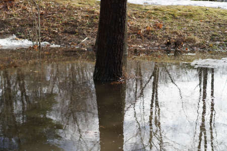 Snow Meltの写真素材