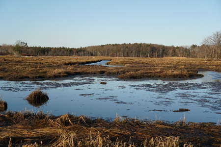 Marshの写真素材