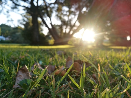 natureの写真素材