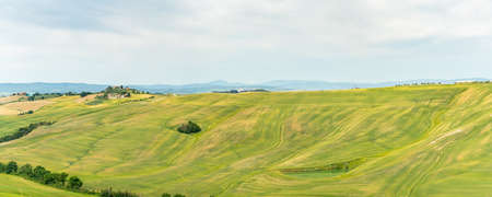 Summr Val d'orcia Tuscany, italyの写真素材
