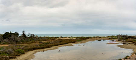The wonderful landscape of the maremma park by the seaの写真素材