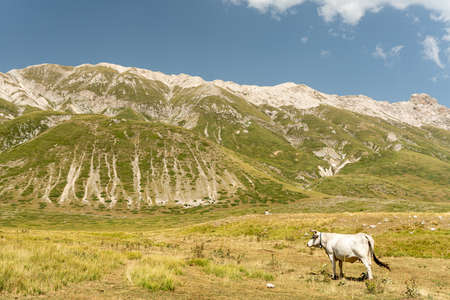Campo Imperatore is a wonderful place in Gran Sasso Area in the italian appennini mountainsの写真素材