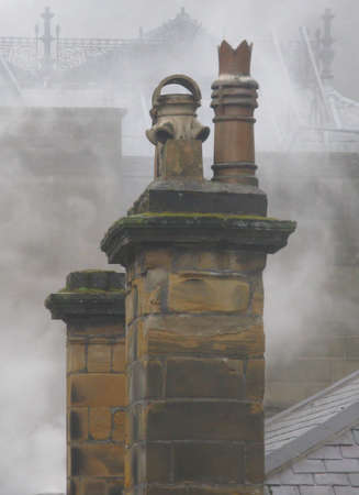 Leaf in Yorkの写真素材