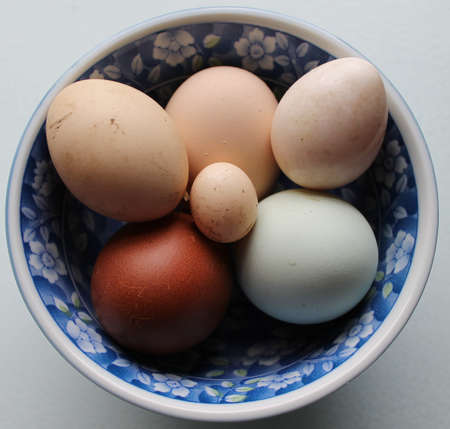 Eggs in a bowl