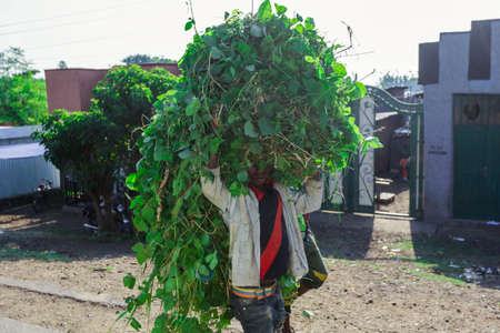 Lalibela, Ethiopia - August 20, 2020: Poor Ethiopian Children smiling on the rural roadのeditorial素材