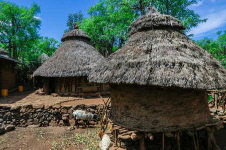 Traditional houses in the African village of the Konso tribe in Ethiopiaのeditorial素材