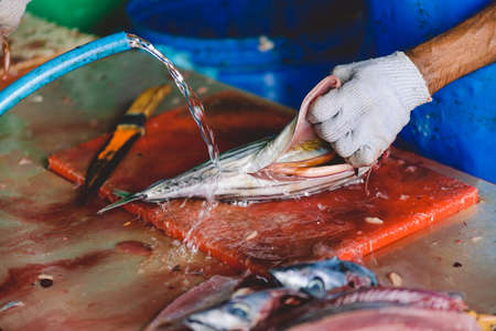 Male, Maldives - June 25, 2021: Local Maldivian Fisherman butcher a Big Tuna Fish on the Central Market of Male Cityのeditorial素材