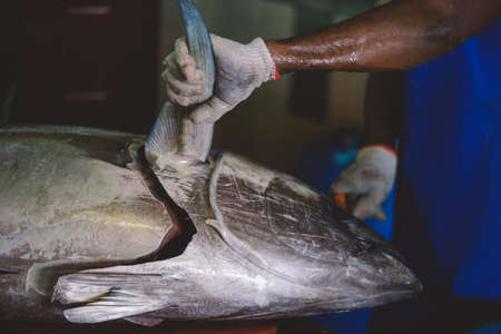 Male, Maldives - June 25, 2021: Local Maldivian Fisherman butcher a Big Tuna Fish on the Central Market of Male Cityのeditorial素材