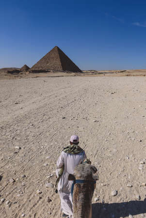 Amazing View to the One of the Wonders of the Ancient World - Great Pyramids of Giza with Camels and...